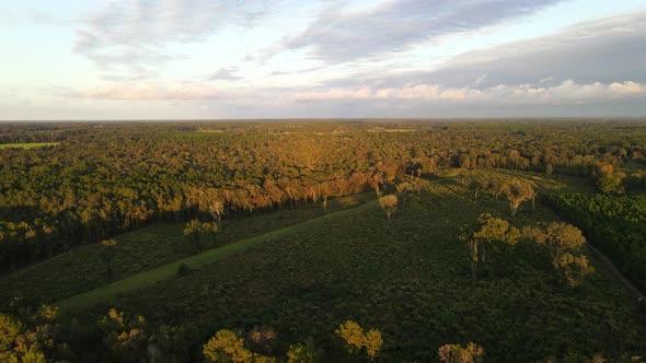 aerial footage forest in georgia state during golden hour late summer