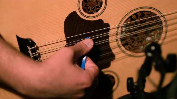 Hands of Musician Playing Note on Lute