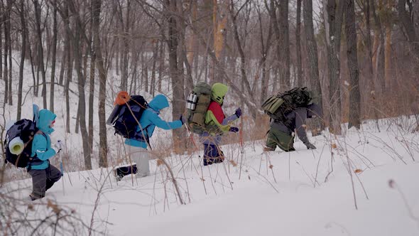 Four People in the Expedition. The Hike Takes Place in Difficult Conditions, People Fall Into