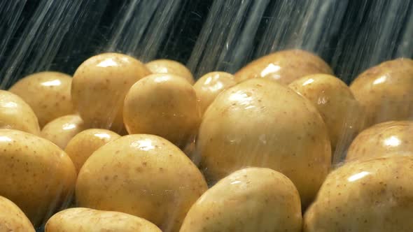 Potatoes Get Washed In Water Spray