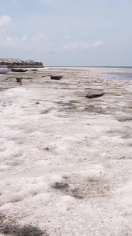 Vertical Video of Low Tide in the Ocean Near the Coast of Zanzibar Tanzania