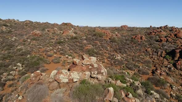 Aerial views over the town of Nieuwoudtville in the Northern Cape of South Africa with blossoming Ma