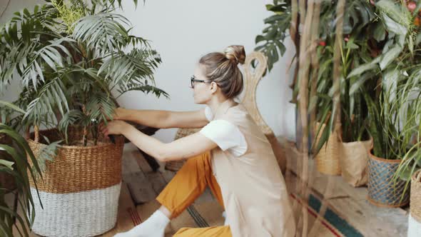 Female Worker Trimming Palm in Houseplant Shop