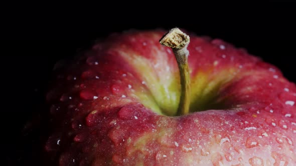 Close-up of a Red-green Apple with Water Droplets Macro Shot. The Apple Rotates Around Its Axis on a