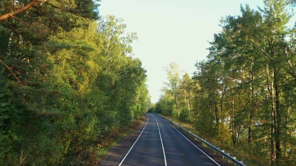 Aerial View From Drone on Asphalt Road at the Forest