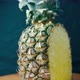 Pineapple on Black Background - VideoHive Item for Sale