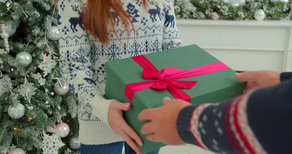 Young Woman Receiving a Gift Box From Sweetheart Holding a Present Near New Year Tree Enjoying