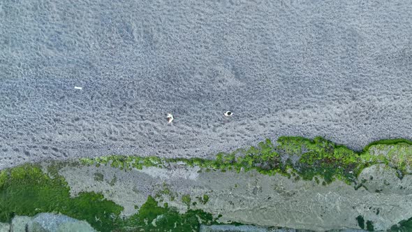 Texture of the rocky beach aerial view 4 K Turkey Alanya