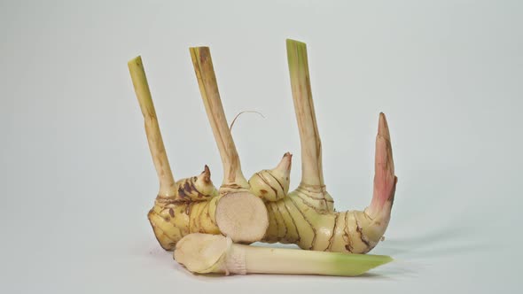 Galangal