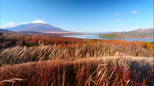 Beautiful nature in Kawaguchiko with Mountain Fuji in Japan