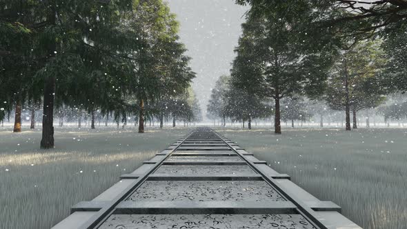 Snowy Railway