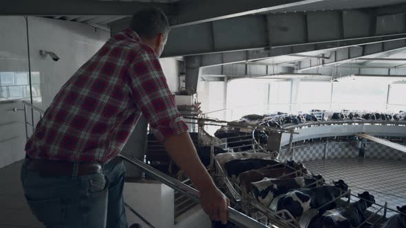 Farm Worker Controlling Milking Facility Work of Automated Carousel System