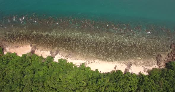 Above Wild Beach