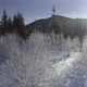 Frozen Winter Forest Deeply Covered with Snow Under the Sunlight - VideoHive Item for Sale