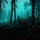 Deer in a Stylized fantasy forest HD - VideoHive Item for Sale