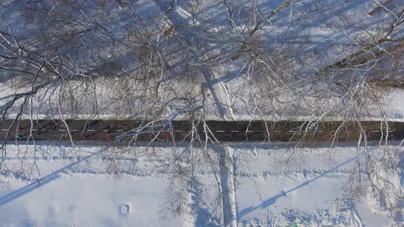 Group of Athletes Running Winter Marathon in Snowy Park