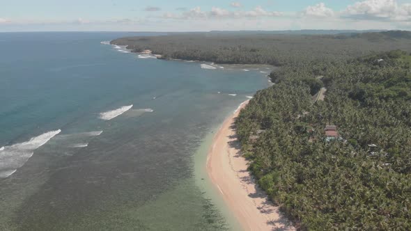 aerial drone view of paradise island of siargao in the philippines. clear turquoise water, palm tree