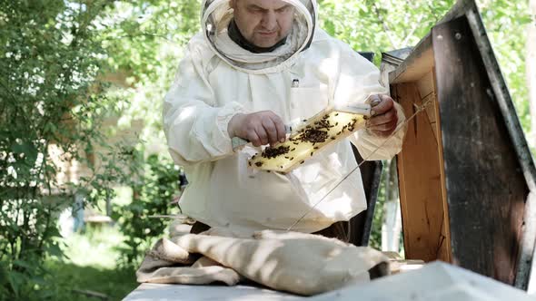 A beekeeper in a loose suit cuts off the queen cell. Beekeeping. The work of a beekeeper.