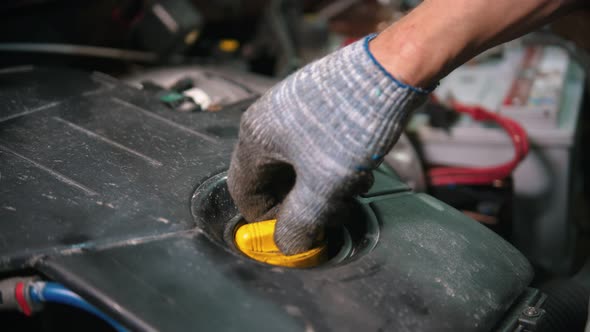 Auto Repair Shop - Man Worker Checking the Engine Oil Condition