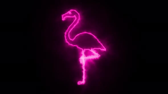 Flamingo Neon