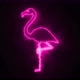 Flamingo Neon - VideoHive Item for Sale