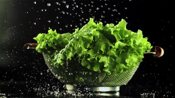 Water Falls on the Lettuce Leaves in a Colander