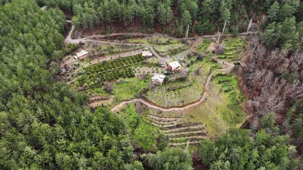 Farming on the banks of the river aerial view Alanya Turkey 4 K