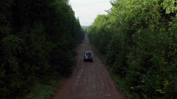 Aerial View of a Car in the Forest