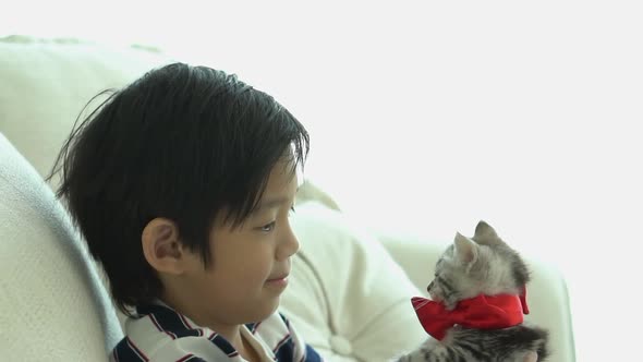 Asian Child Playing With Kitten On Sofa At Home Slow Motion