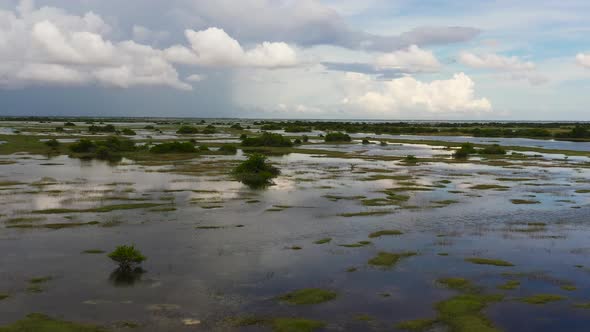 Flooded Land in Sri Lanka alt