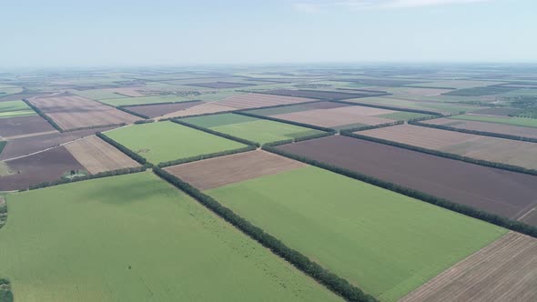 4K aerial shot of fields with various types of agriculture