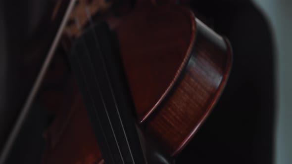 Young Blonde Woman Playing Violin