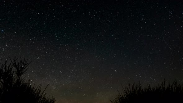 Stars fill the sky then the Milky Way comes into view between two desert scrub bushes - time lapse