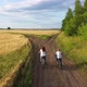 Girl with a Guy Riding a Bike Along a Wheat Field - VideoHive Item for Sale