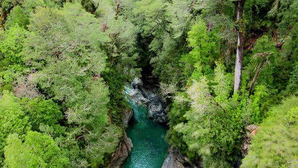 Aerial view dolly out of the Rio Blanco through the forest in Hornopiren National Park, Chile