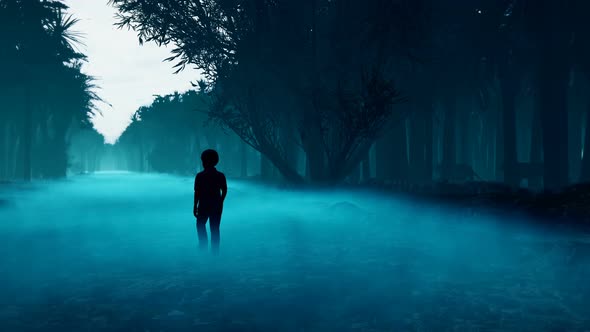 A Little Boy Got Lost in a Dark Forest alt