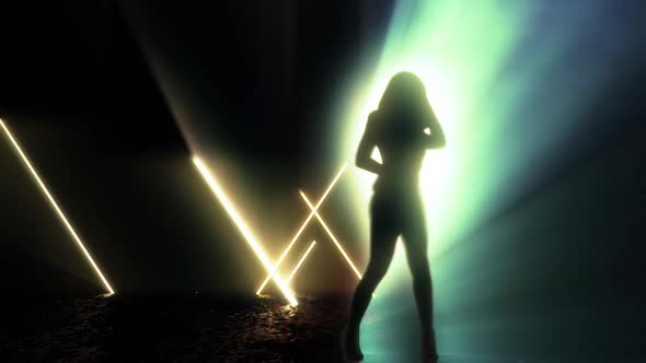 Silhouette Sexy Dancer In Lighting  Laser Stage 3D Rendering