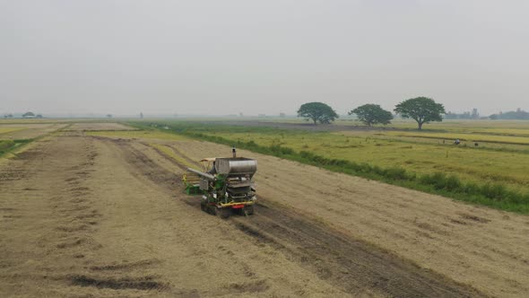 Aerial top view of tractor rice car working on dry or ripe rice paddy, crop field, harvesting