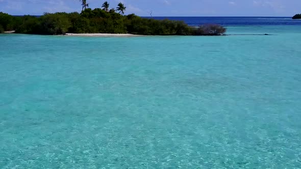 Aerial landscape of marine coastline beach wildlife by blue lagoon with sand background