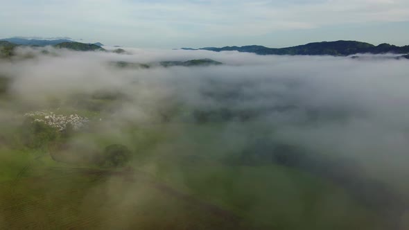 Costa Rica Landscape Through the Clouds, Aerial Reveal from Above