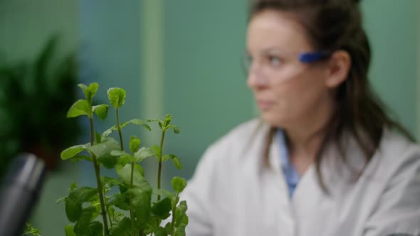 Closeup of Botanist Woman Checking Sapling for Agriculture Experiment