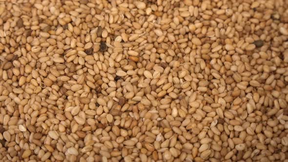 Sesame Seeds Natural dry raw organic food grain, Top view background, Agriculture harvest concept