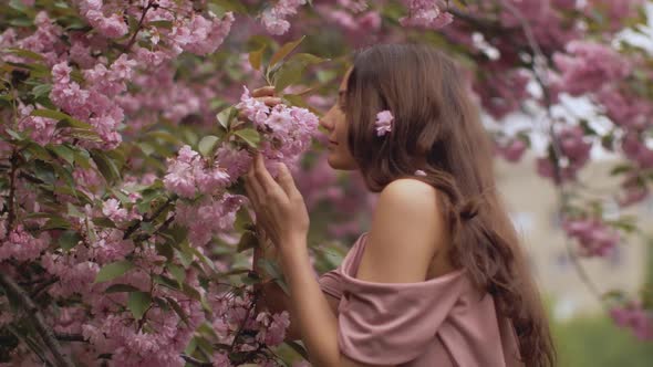 Woman at Blossoming Sakura Tree on Nature