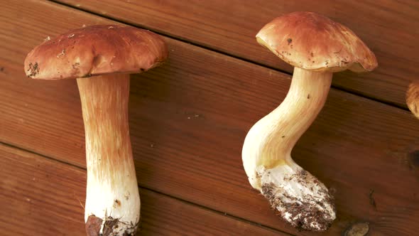 Boletus Edulis Mushrooms on Wooden Background 10
