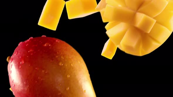 Mango with Slices Falling on Black Background