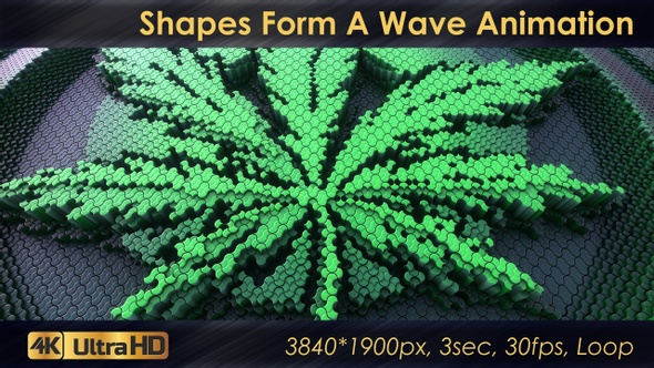 Shapes From A Wave Animation
