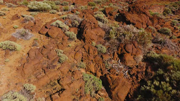 Aerial View of Solidified Lava and Sparse Vegetation in the Teide National Park