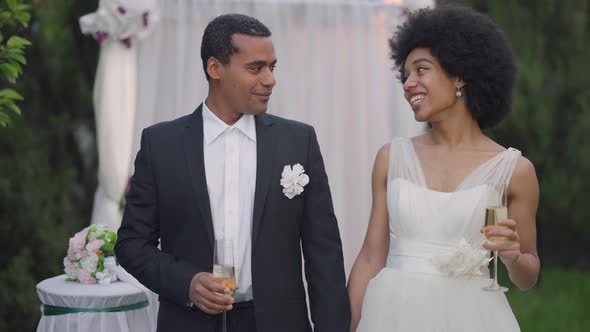 Medium Shot Front View of Laughing Newlywed Couple Clinking Glasses Looking at Camera Standing