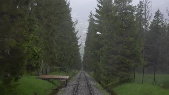 Moving on a funicular railway through a dark, tranquil and mysterious forest.