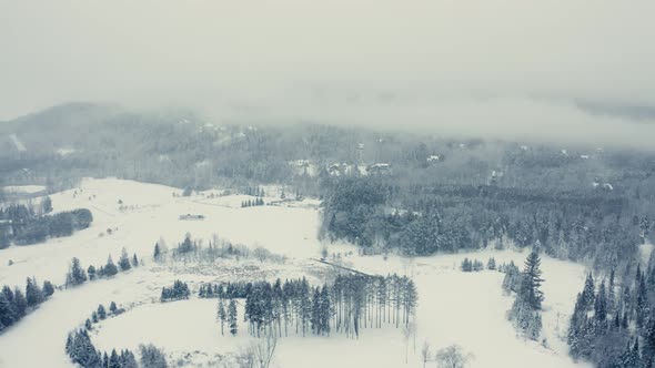 Foggy Winter Landscape - Drone Flying  4K - Mountains - Trees, rivers, snowy - Cinematic trees